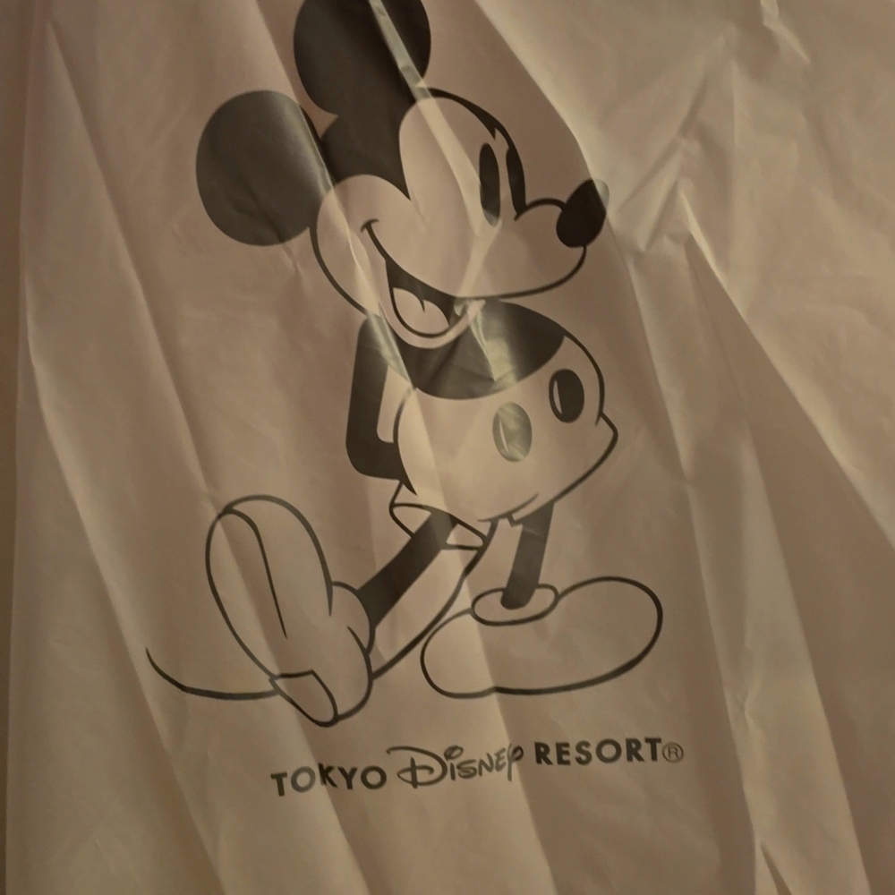 Tokyo disney resort poncho size L unisex